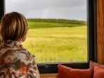 window views